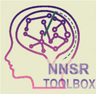 NNSR Logo